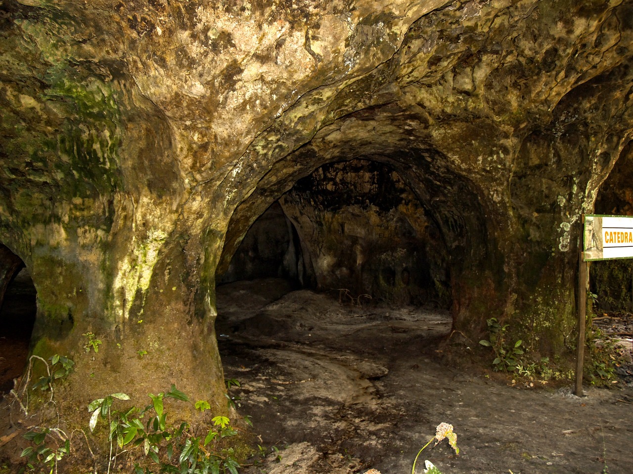 Exploring the Caverns of Carlsbad Caverns National Park